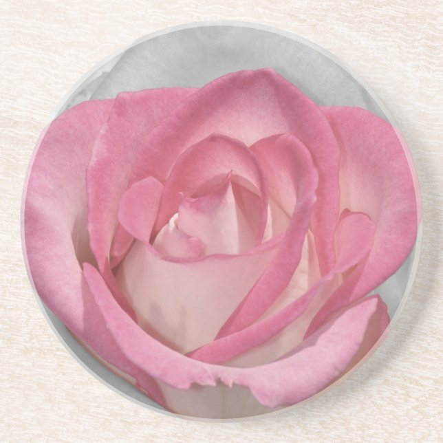 Pink vintage rose print coaster (Front)