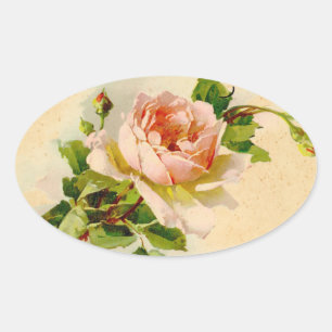 Pink Vintage Rose Watercolor Painting Oval Sticker