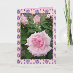 Pink Vintage Roses Rose Garden flowers Card