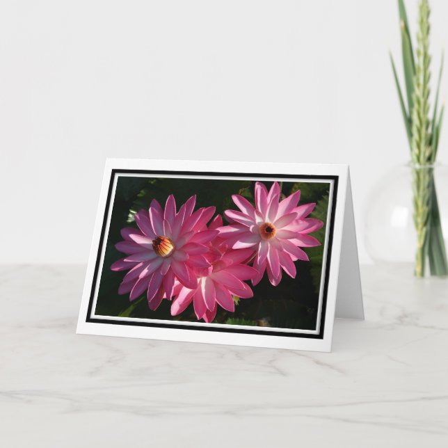 Pink Water Lilies Card (Front)