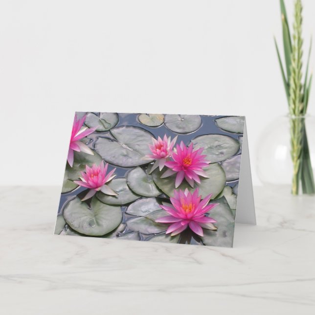 Pink Water Lilies Card (Front)