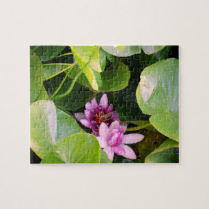 Pink Water Lilly , Lotus Flower Jigsaw Puzzle