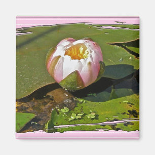 Pink Water-Lily Bud Magnet