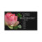Pink Water Lily Business Card