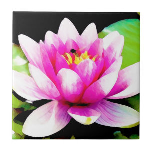 Pink water lily ceramic tile