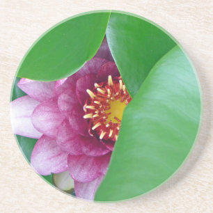 Pink Water Lily Coaster