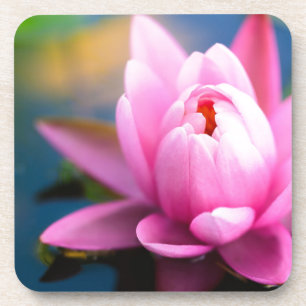 Pink Water Lily Coaster