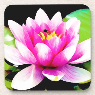 Pink water lily coaster