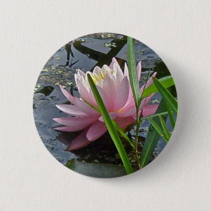 Pink Water Lily Coordinating Items 6 Cm Round Badge