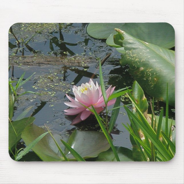 Pink Water Lily Coordinating Items Mouse Pad (Front)