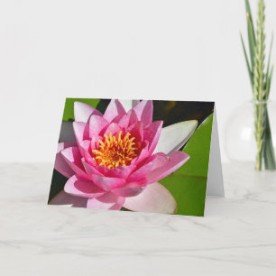 Pink water lily floral print card