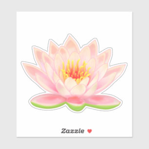 Pink Water Lily Flower