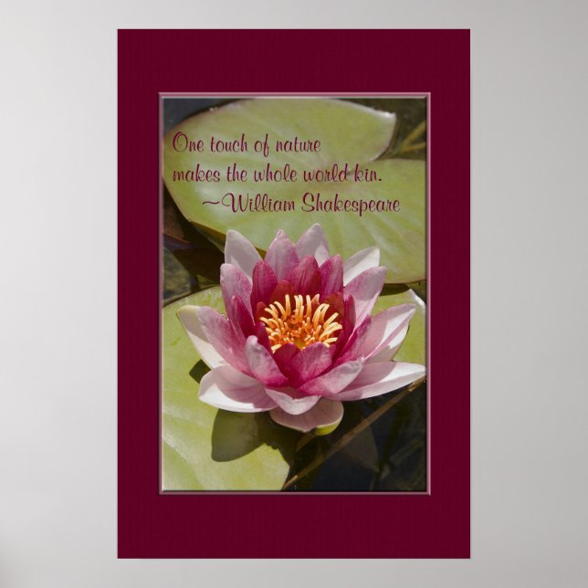 Pink Water Lily Flower Close-up Photograph Poster (Front)