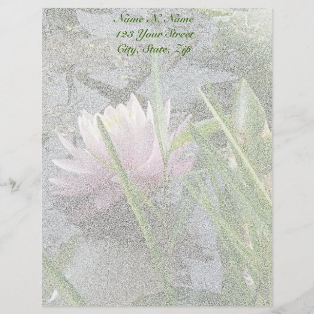 Pink Water Lily Letterhead Template (Front)