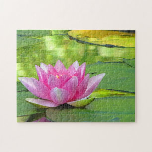 Pink Water Lily Lotus Flower Puzzle