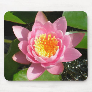 Pink Water Lily Mouse Pad