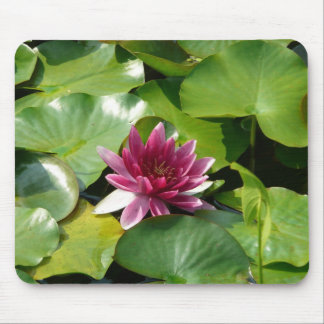 Pink water lily mousepad