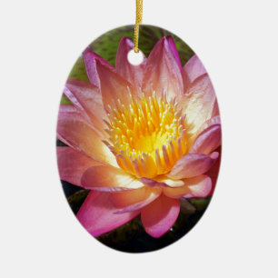 Pink Water Lily Photograph Ceramic Ornament