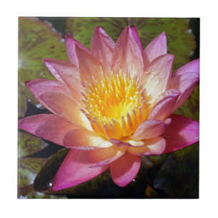 Pink Water Lily Photograph Ceramic Tile