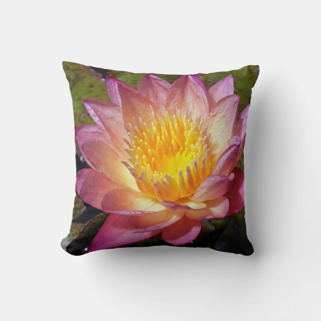 Pink Water Lily Photograph Cushion (Front)