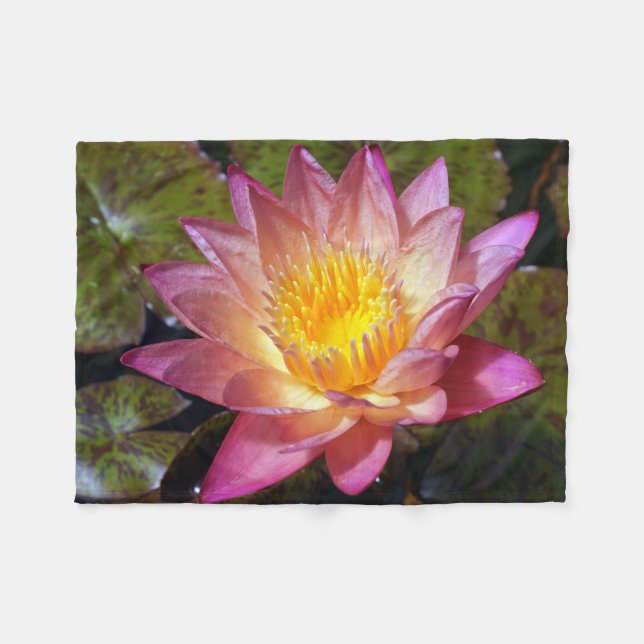Pink Water Lily Photograph Fleece Blanket (Front (Horizontal))