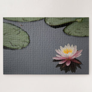 Pink Water Lily Photograph Jigsaw Puzzle