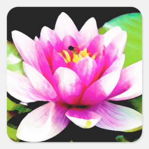 Pink water lily square sticker