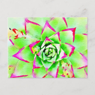 Pink Watercolor Succulent Postcard