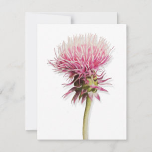 Pink Watercolor Thistle Wildflower In Bloom Card