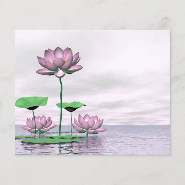 Pink waterlilies and lotus flowers flyer (Front)