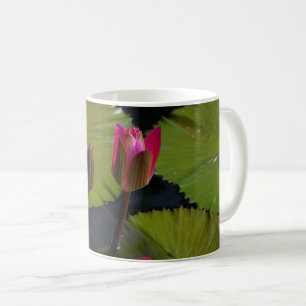 Pink Waterlilies Coffee Mug