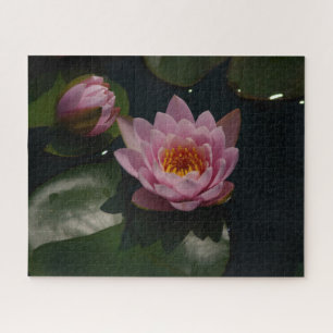Pink Waterlilies Jigsaw Puzzle