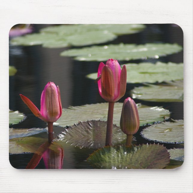 Pink Waterlilies Mouse Pad (Front)