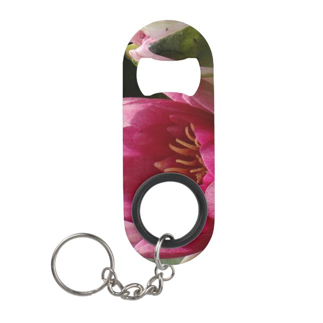 Pink waterlily (Front)