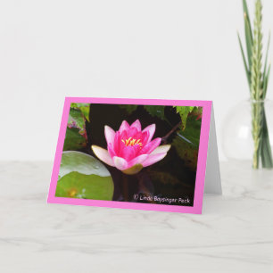 Pink Waterlily 4 Card