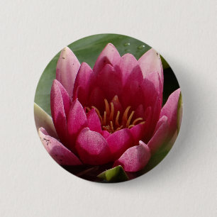 Pink waterlily 6 cm round badge