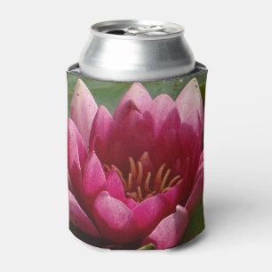 pink waterlily can cooler