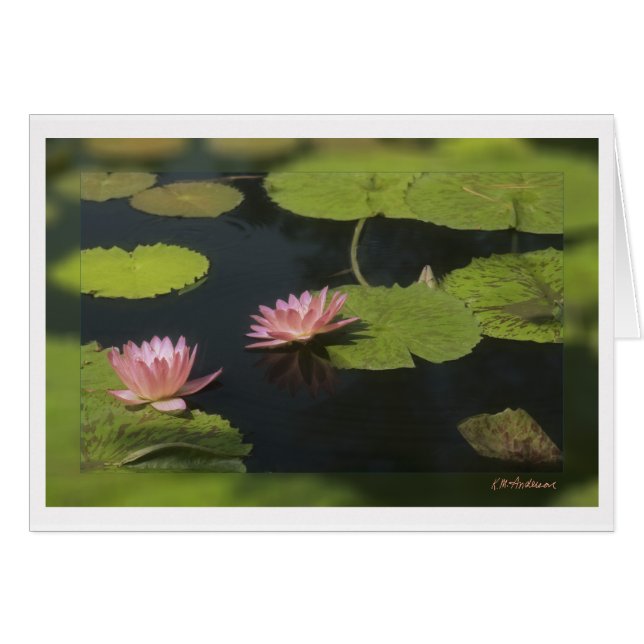 Pink waterlily - Customised (Front Horizontal)