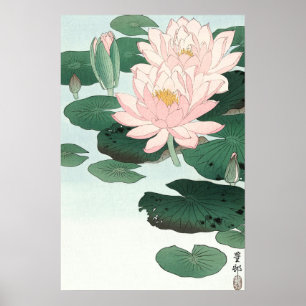 Pink Waterlily Japanese Art Poster