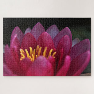 Pink Waterlily Jigsaw Puzzle