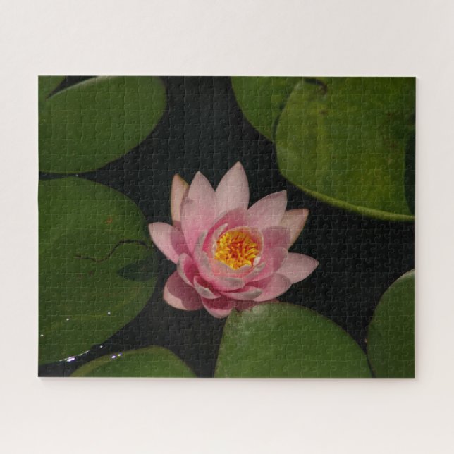 Pink Waterlily Jigsaw Puzzle (Horizontal)