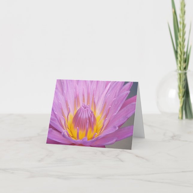 Pink Waterlily Notecard (Front)