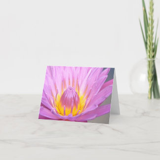 Pink Waterlily Notecard