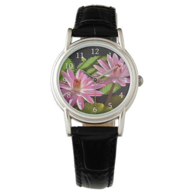 Pink Waterlily Water Lily Nymphaea Watch (Front)