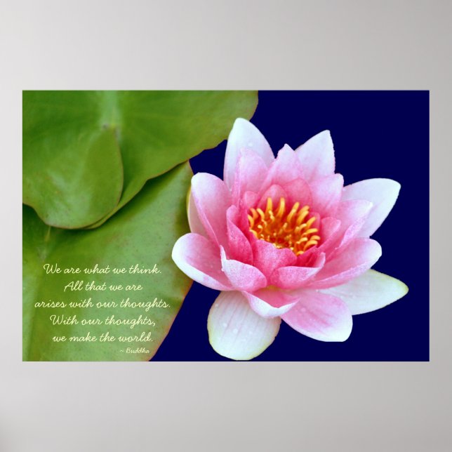 Pink Waterlily With Buddha Quote Poster (Front)