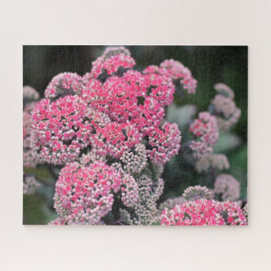 Pink & White Butterfly Stonecup Flowers Jigsaw Puzzle