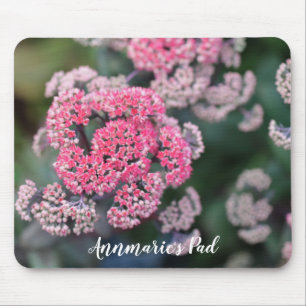 Pink & White Butterfly Stonecup Flowers Mouse Pad