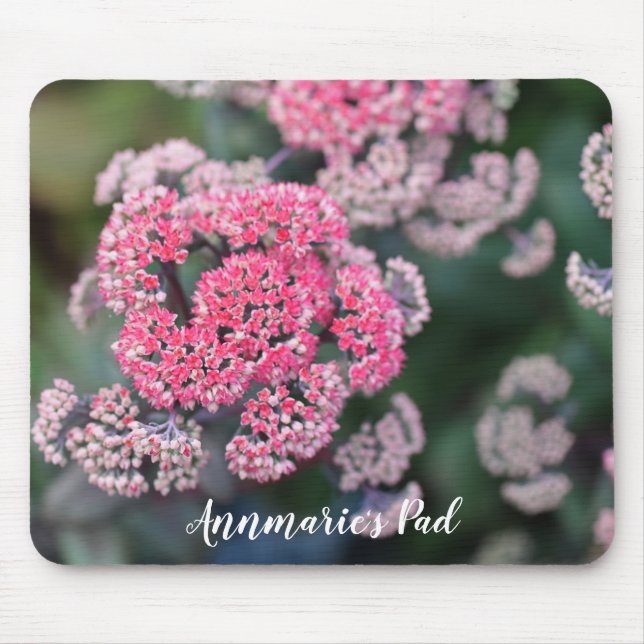 Pink & White Butterfly Stonecup Flowers Mouse Pad (Front)