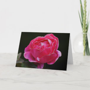 Pink White Edge Rose Floral Note Card