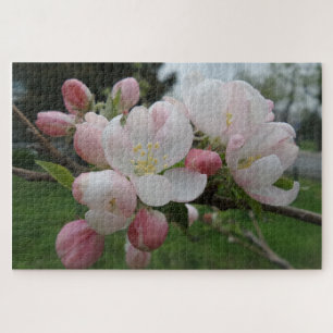 Pink & White Flower Jigsaw Puzzle